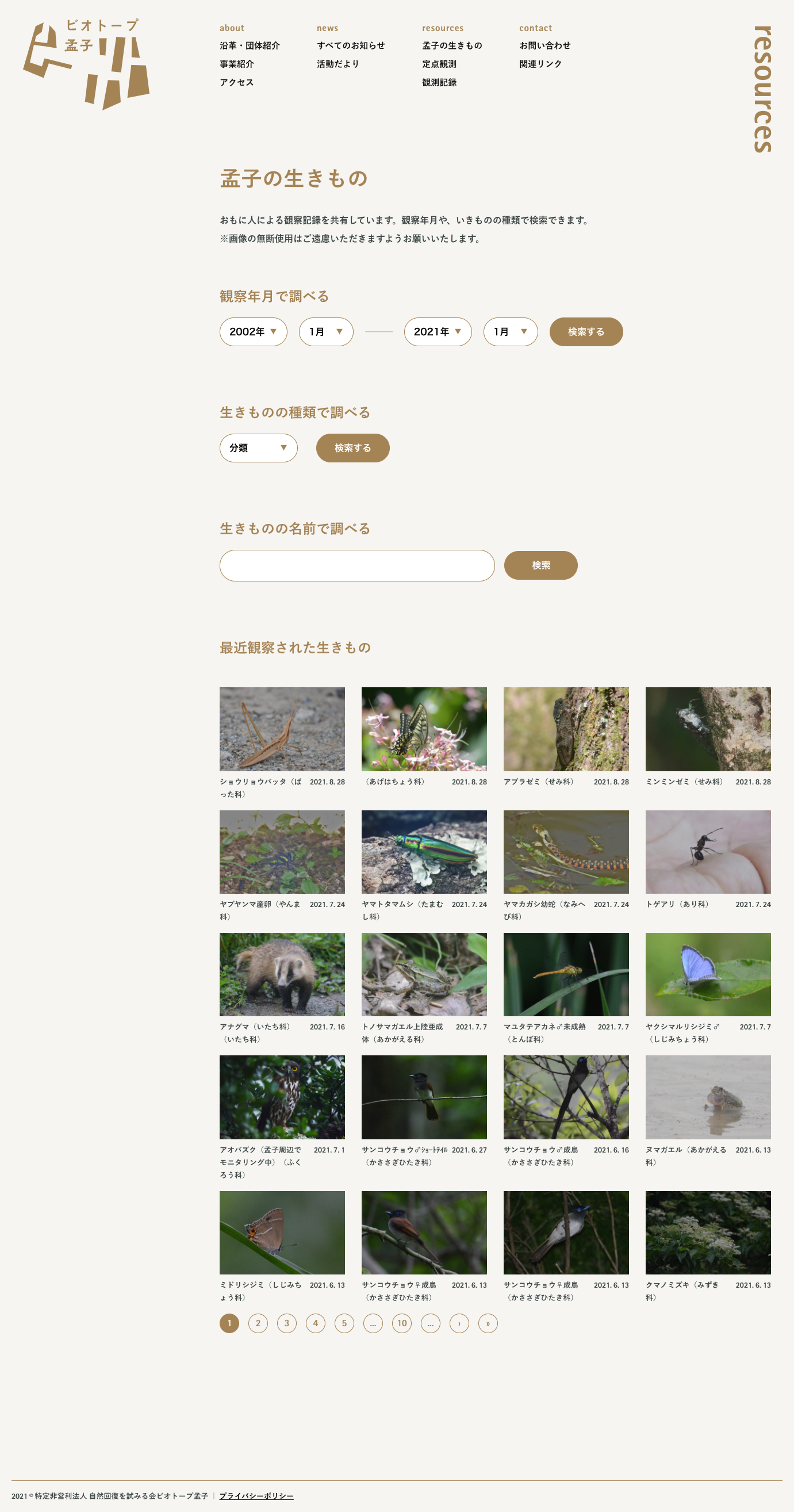 生態系アーカイブサイトのデザイン